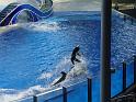 Sea World-194